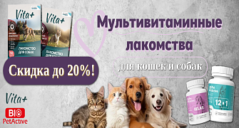 Скидка до 20% на мультивитаминные лакомства Vita+ и BioPetActive для кошек и собак